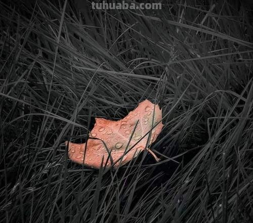 16张普通人拍出来的好照片:只要有个人,照片就有魂