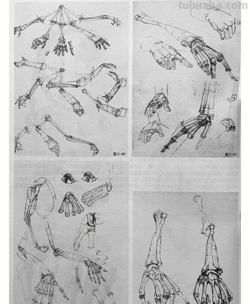 速写手特征 速写手的基本画法？