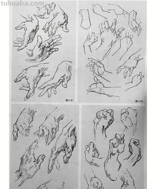 速写手特征 速写手的基本画法？