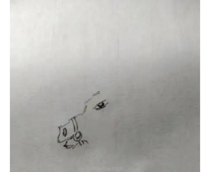 驴的简笔画怎么画 如何画野驴？