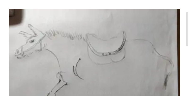 驴的简笔画怎么画 如何画野驴？