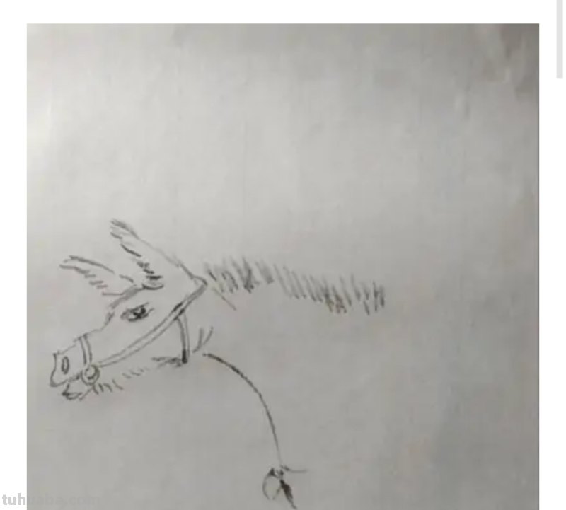 驴的简笔画怎么画 如何画野驴？