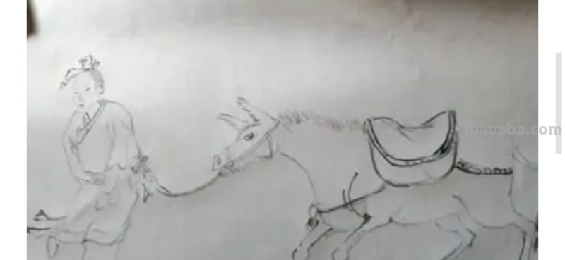 驴的简笔画怎么画 如何画野驴？