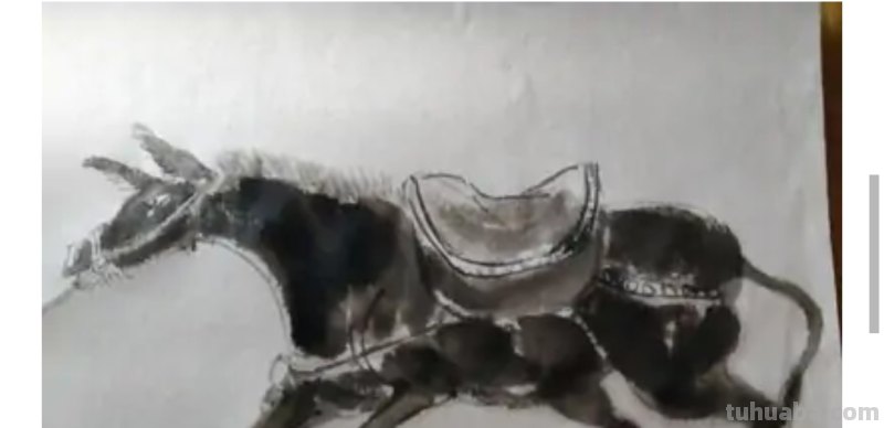 驴的简笔画怎么画 如何画野驴？