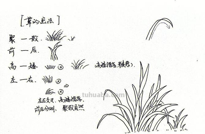 植物速写草 小草怎么画_怎样画小草？