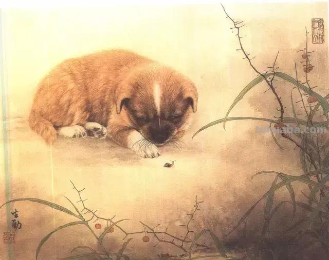 太棒了！工笔画狗的画法，超详细步骤