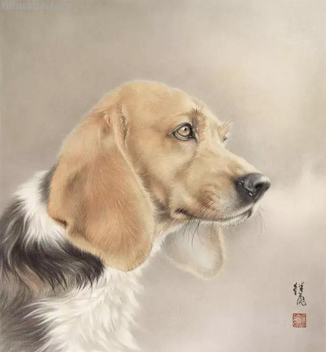 太棒了！工笔画狗的画法，超详细步骤
