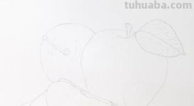 彩铅画的红苹果怎么画 有谁知道色彩画红苹果要怎么配色？