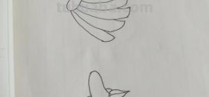 香蕉苹果怎么画简笔画 香蕉的简笔画的画法？