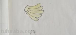 香蕉苹果怎么画简笔画 香蕉的简笔画的画法？