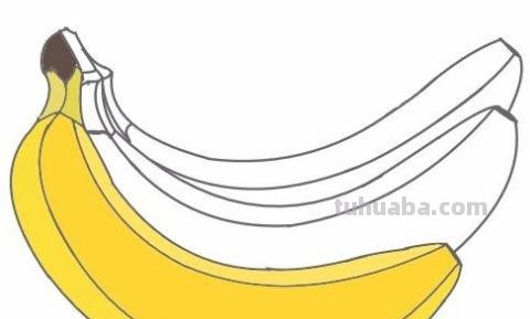 香蕉苹果怎么画简笔画 香蕉的简笔画的画法？