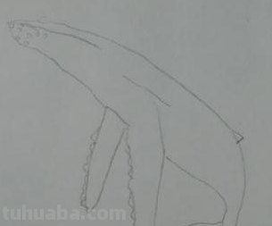 鲸鱼怎么画梦幻彩铅画步骤 怎样快速画抹香鲸？