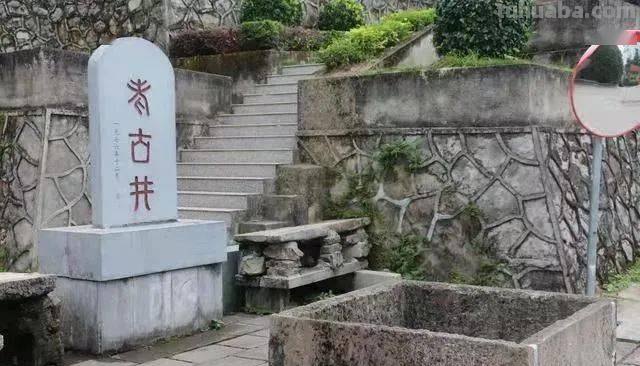 古井思维导图怎么画 古井这个文章主要讲了一件什么事情?