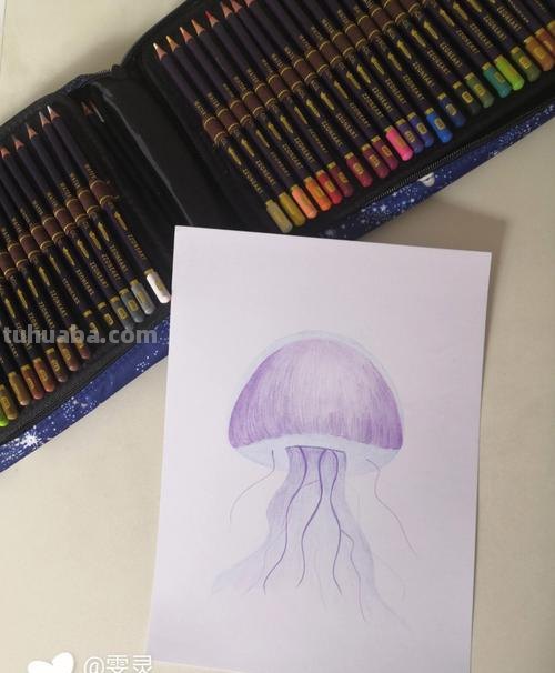 用彩铅画水母怎么画视频 如何画蛋仔水母？
