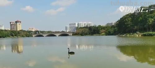 相思湖速写 南宁相思湖命名来由？