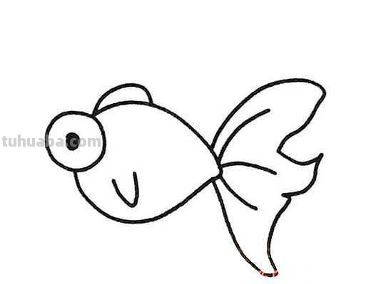 小鱼怎么画儿童简笔画 儿童简笔画:可爱小金鱼的画法?