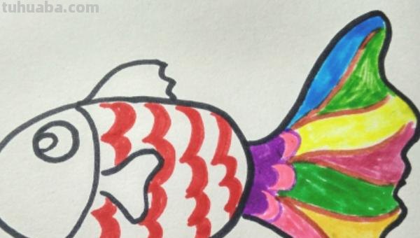 小鱼怎么画儿童简笔画 儿童简笔画：可爱小金鱼的画法？