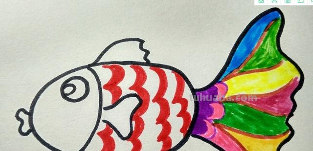 小鱼怎么画儿童简笔画 儿童简笔画：可爱小金鱼的画法？