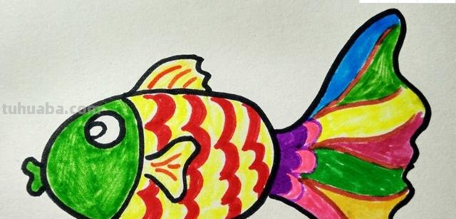 小鱼怎么画儿童简笔画 儿童简笔画：可爱小金鱼的画法？