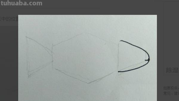 小鱼怎么画儿童简笔画 儿童简笔画：可爱小金鱼的画法？