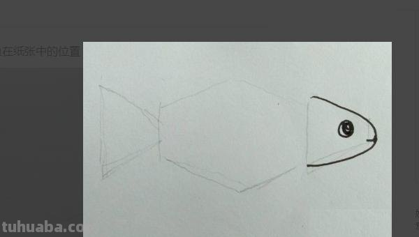 小鱼怎么画儿童简笔画 儿童简笔画：可爱小金鱼的画法？