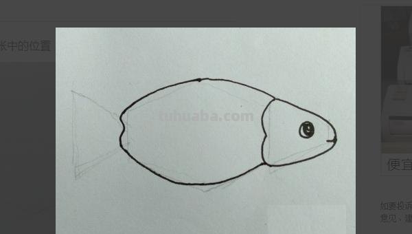 小鱼怎么画儿童简笔画 儿童简笔画：可爱小金鱼的画法？