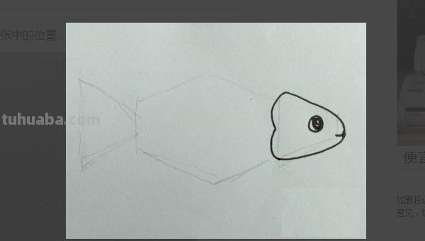 小鱼怎么画儿童简笔画 儿童简笔画：可爱小金鱼的画法？