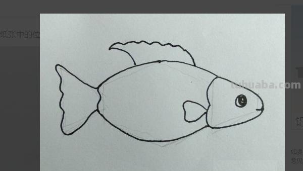 小鱼怎么画儿童简笔画 儿童简笔画：可爱小金鱼的画法？