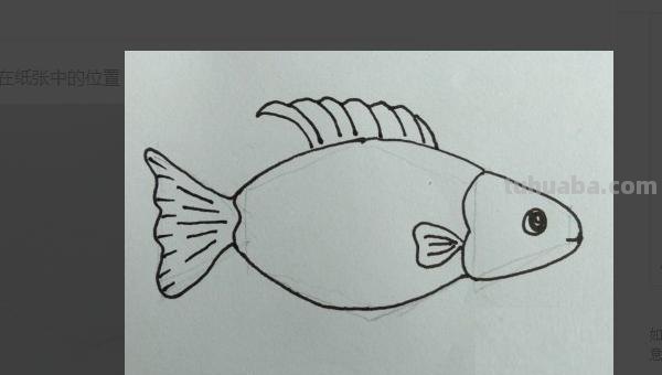 小鱼怎么画儿童简笔画 儿童简笔画：可爱小金鱼的画法？