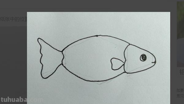 小鱼怎么画儿童简笔画 儿童简笔画：可爱小金鱼的画法？