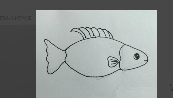 小鱼怎么画儿童简笔画 儿童简笔画：可爱小金鱼的画法？