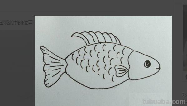 小鱼怎么画儿童简笔画 儿童简笔画：可爱小金鱼的画法？