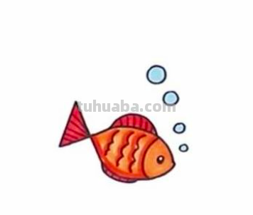 小鱼怎么画儿童简笔画 儿童简笔画：可爱小金鱼的画法？
