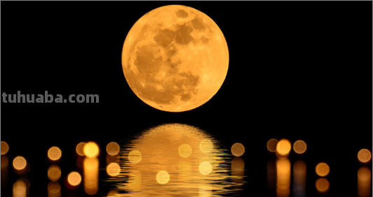 lunar中文是什么意思