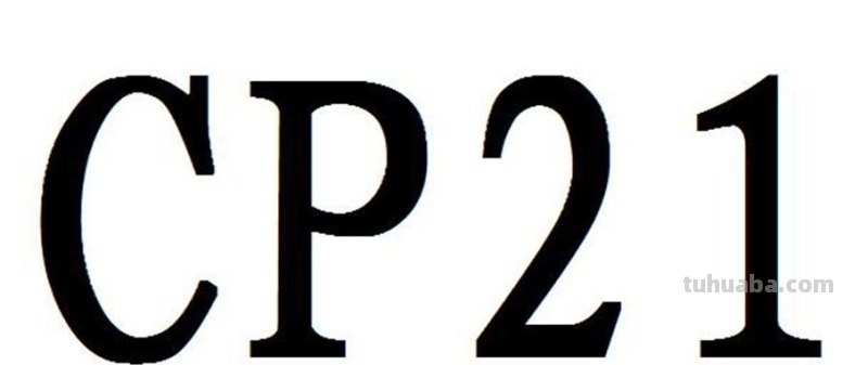 CP21 cp21是哪一年