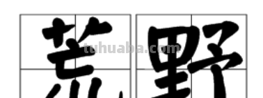 荒野的意思