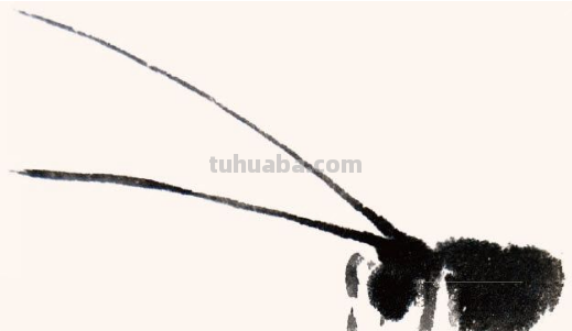 蟋蟀的侧面姿态与正面姿态下的基本画法，活灵活现！