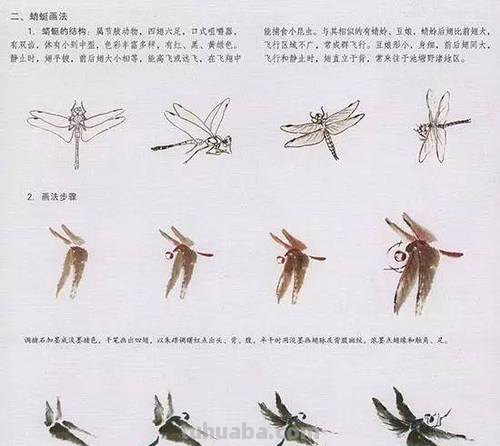 中国国画花鸟技法~几种虫儿动物的画法