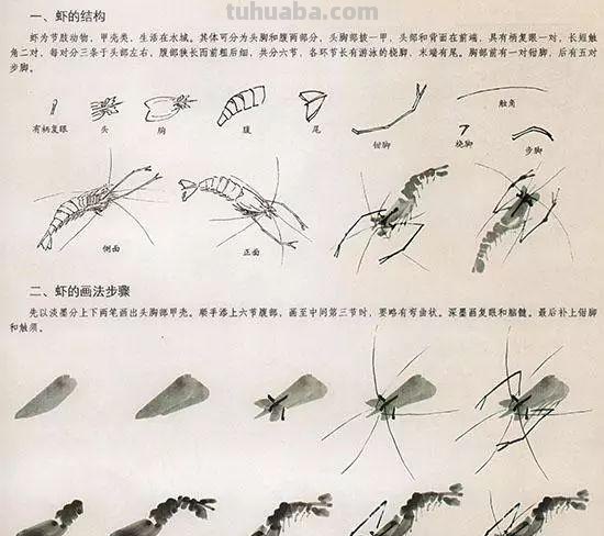 中国国画花鸟技法~几种虫儿动物的画法