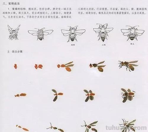 中国国画花鸟技法~几种虫儿动物的画法