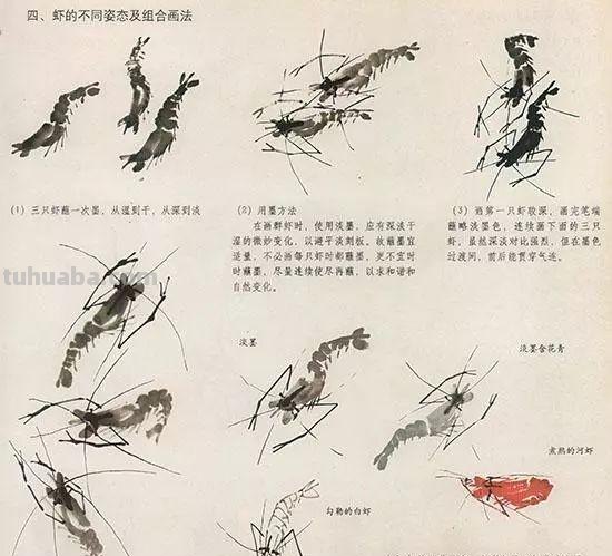 中国国画花鸟技法~几种虫儿动物的画法