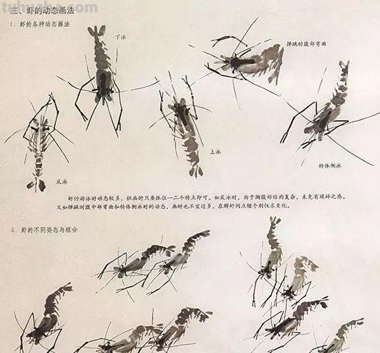 中国国画花鸟技法~几种虫儿动物的画法