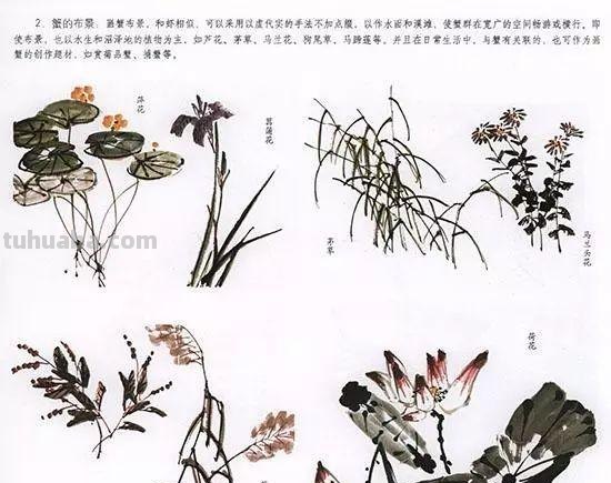 中国国画花鸟技法~几种虫儿动物的画法
