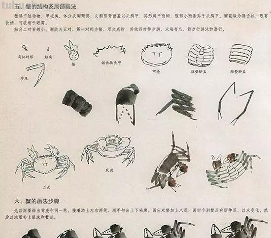 中国国画花鸟技法~几种虫儿动物的画法