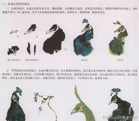 中国国画花鸟技法~几种虫儿动物的画法