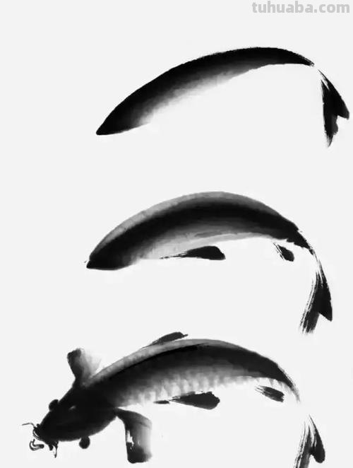 「国画教程」鲤鱼的画法