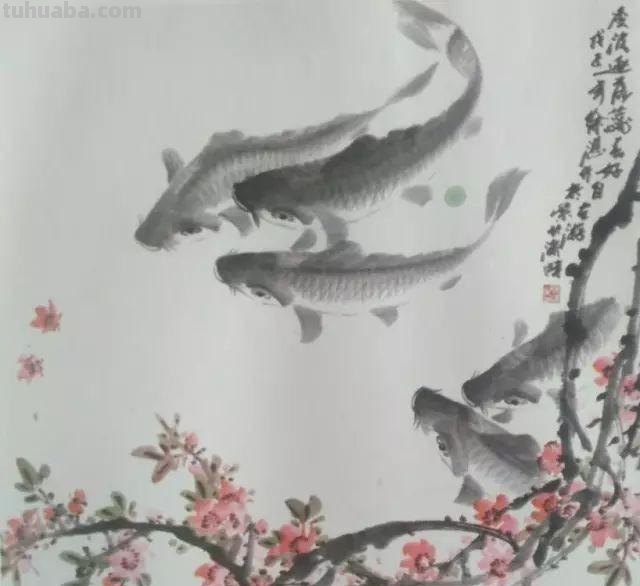 「国画教程」鲤鱼的画法