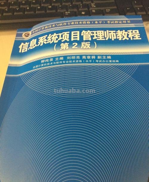 信息 信息系统项目管理高级