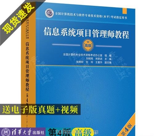 信息 信息系统项目管理高级