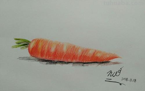 色彩萝卜画法：用色彩萝卜打造缤纷画作 